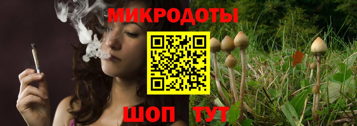 Учалы  Псилоцибиновые грибы MAGIC MUSHROOMS  Вход с VPN  Псилоцибиновые грибы Cubensis 